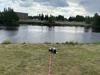 A black and white corgi cardigan rolling around on a piece of grass in front of a canal.